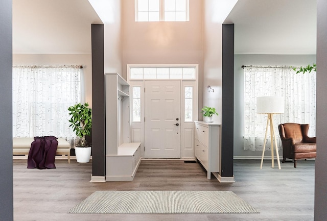 entrance foyer featuring hardwood / wood-style flooring and a towering ceiling