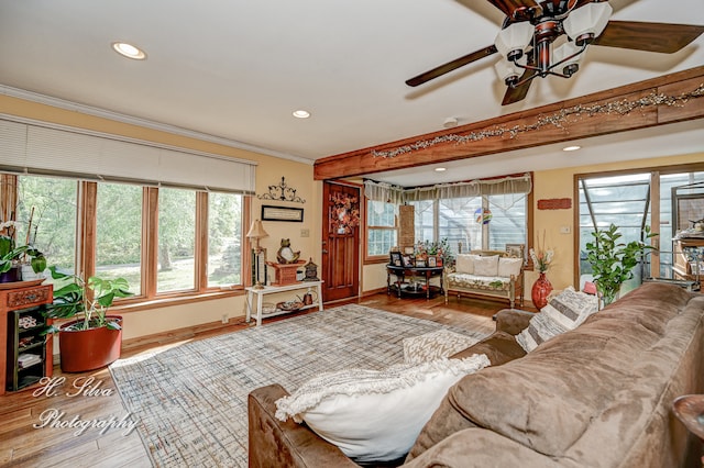 living room featuring ceiling fan, wood-type flooring, and ornamental molding