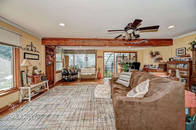 living room with hardwood / wood-style floors, ceiling fan, and crown molding