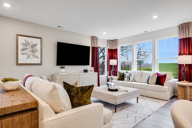 living room featuring light hardwood / wood-style flooring