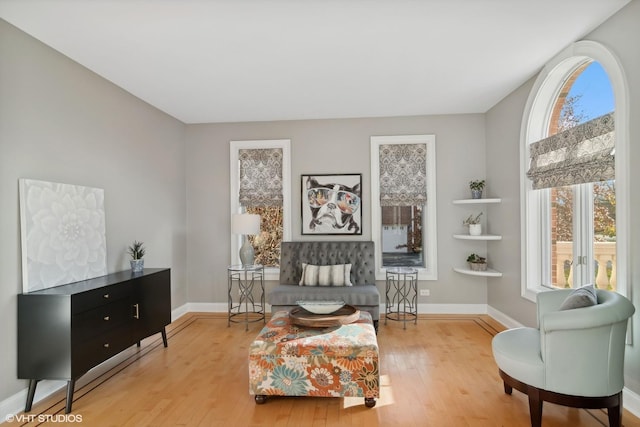 sitting room with light wood-type flooring and a wealth of natural light