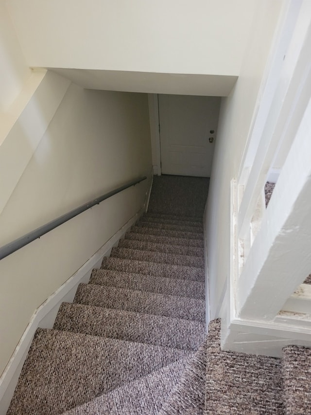 stairway featuring carpet flooring