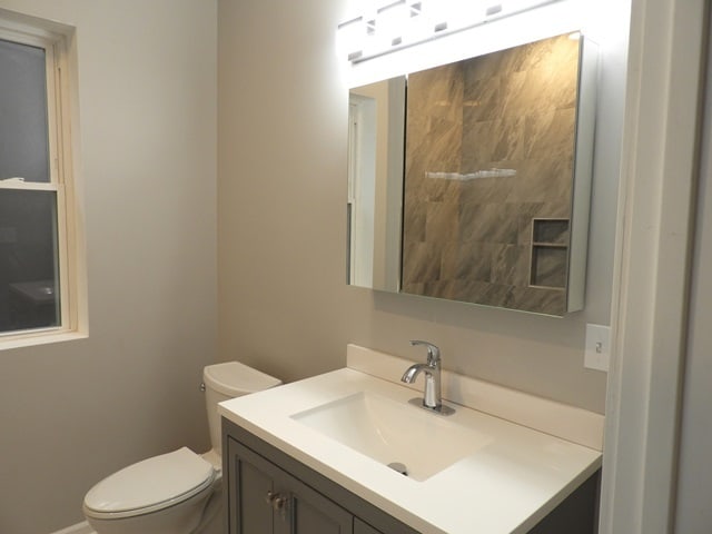 bathroom with vanity and toilet