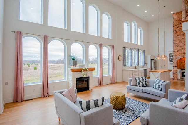 living room featuring light hardwood / wood-style floors, a towering ceiling, and a wealth of natural light