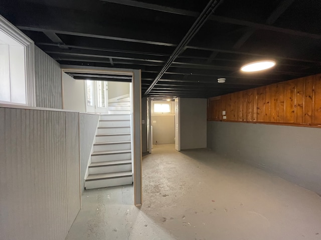 basement with wood walls