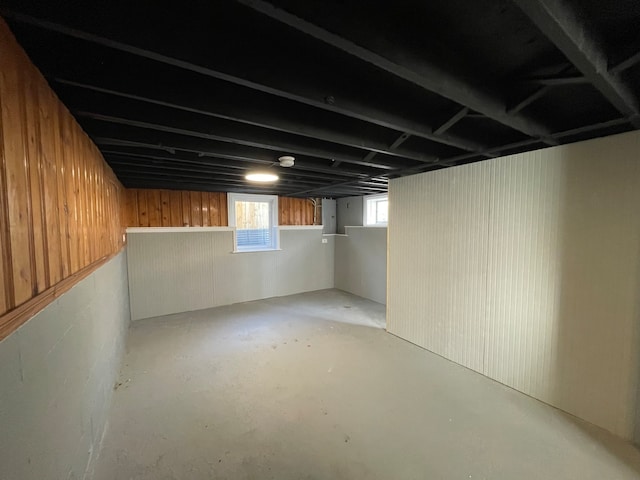 basement with wooden walls