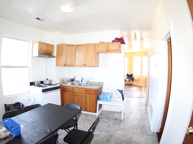 kitchen featuring a healthy amount of sunlight, sink, and gas range gas stove