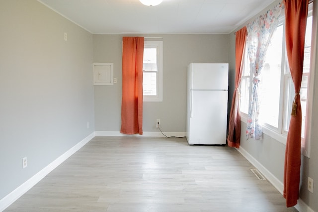 empty room featuring a wealth of natural light and light hardwood / wood-style flooring