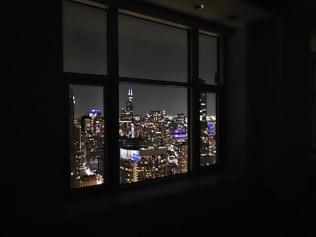 132 E Delaware Pl Unit 6201, Chicago, IL 60611 - photo 10