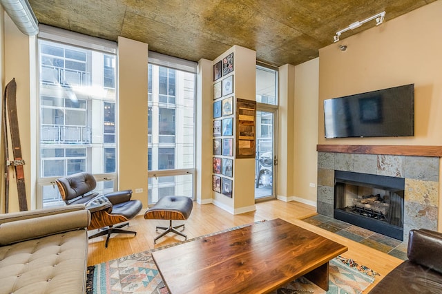 living room with a tile fireplace and hardwood / wood-style flooring