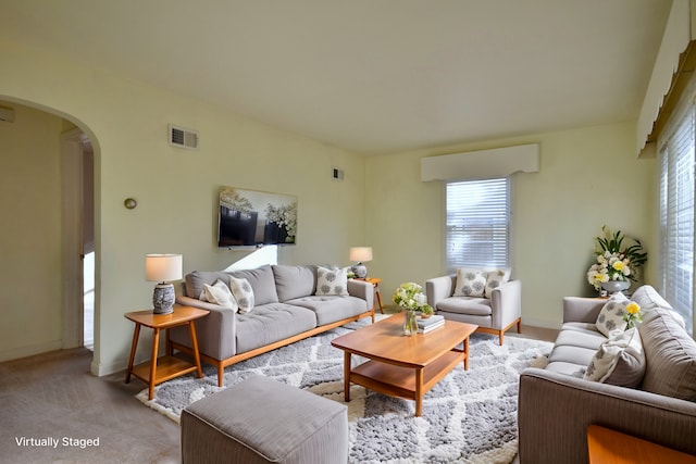 carpeted living room with plenty of natural light