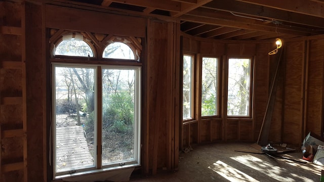 miscellaneous room with a wealth of natural light