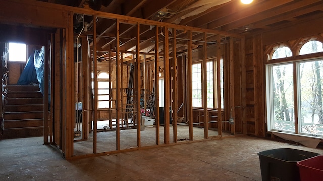 miscellaneous room with a wealth of natural light