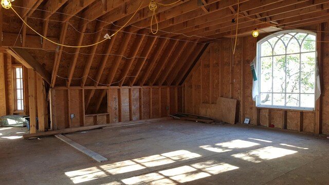 unfinished attic featuring a wealth of natural light