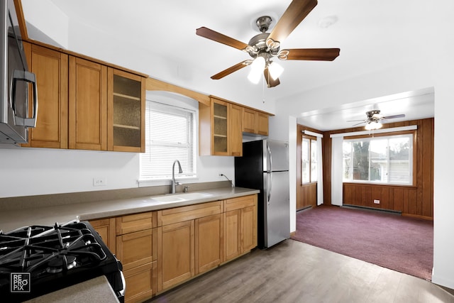 kitchen with ceiling fan, sink, light hardwood / wood-style floors, and appliances with stainless steel finishes