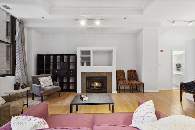 living room featuring hardwood / wood-style floors, crown molding, and a tray ceiling