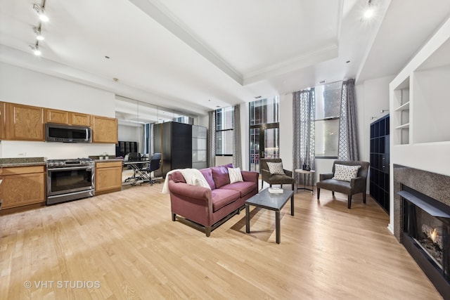 living room with light hardwood / wood-style floors and a raised ceiling