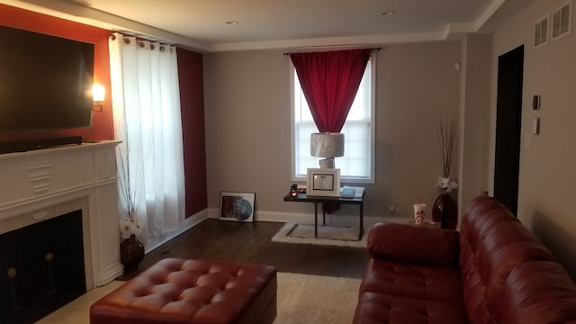 living room featuring hardwood / wood-style floors