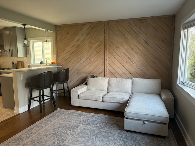 living room featuring wood walls and dark hardwood / wood-style flooring