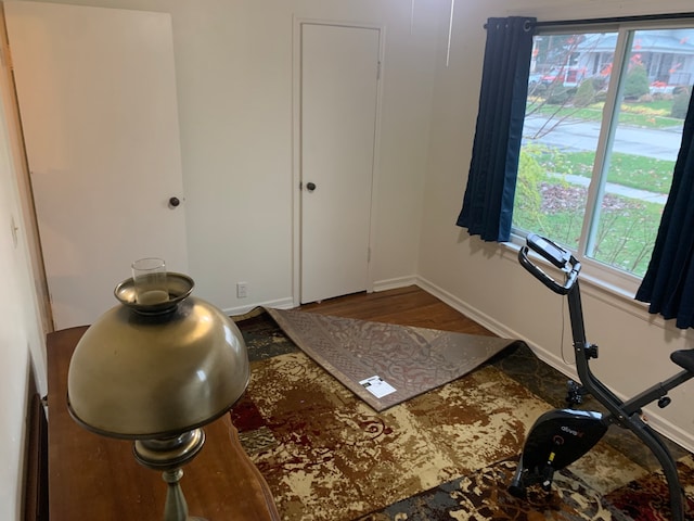 workout room with hardwood / wood-style flooring