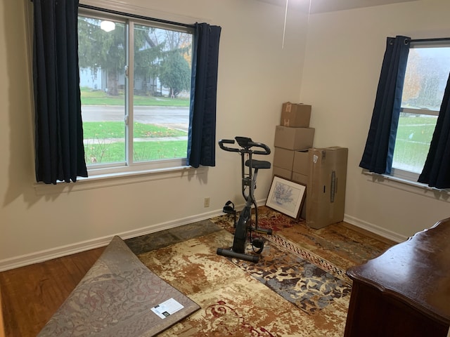 workout area featuring hardwood / wood-style flooring