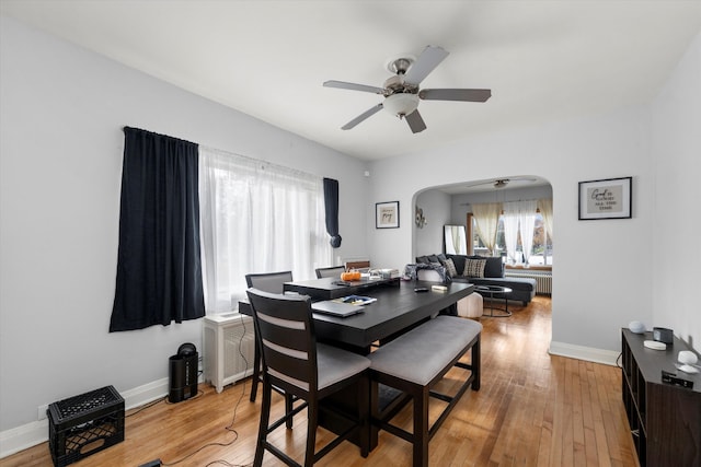 dining room featuring radiator, light hardwood / wood-style flooring, and ceiling fan