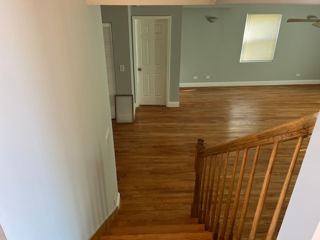 staircase featuring ceiling fan and hardwood / wood-style flooring