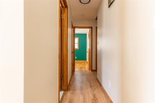 hallway featuring light hardwood / wood-style flooring