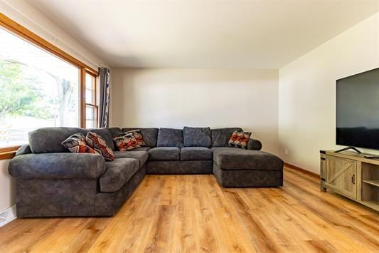 living room with light hardwood / wood-style flooring