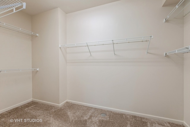 walk in closet featuring carpet flooring