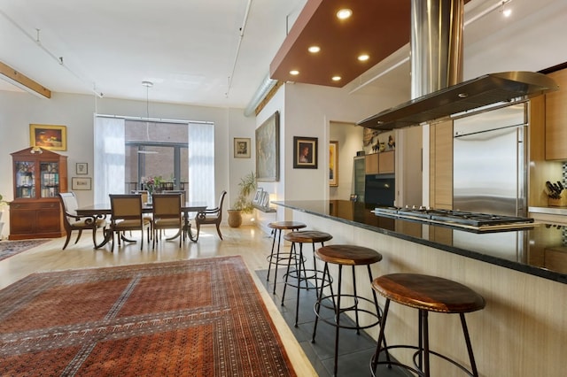 kitchen with a breakfast bar, appliances with stainless steel finishes, island range hood, and light hardwood / wood-style floors