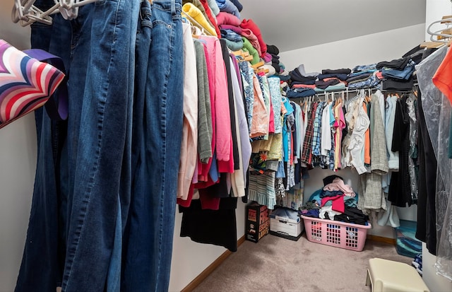 spacious closet featuring carpet