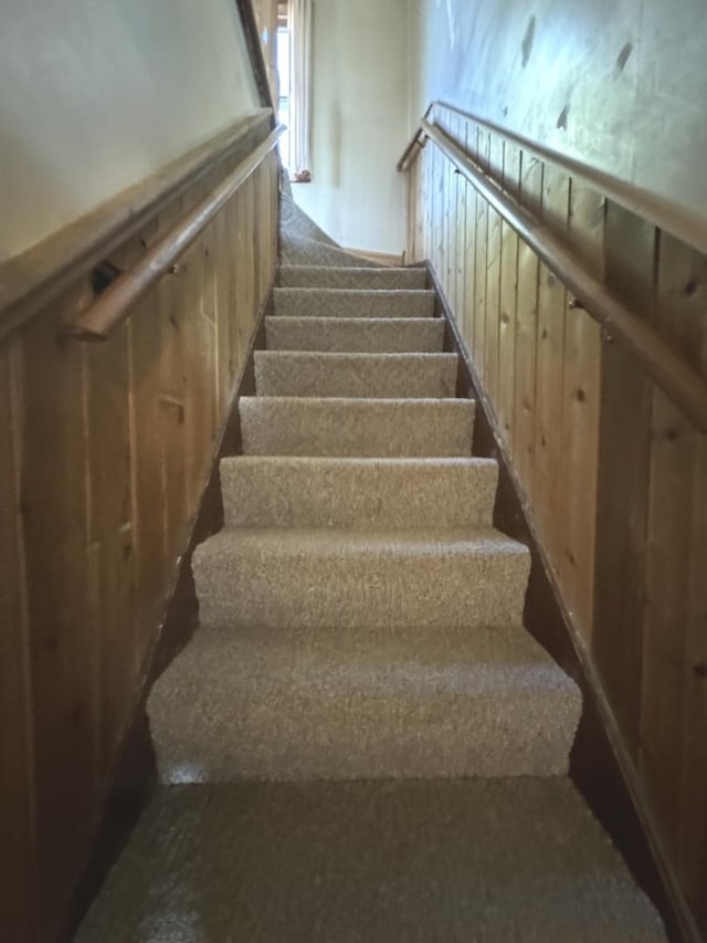 stairs with carpet flooring