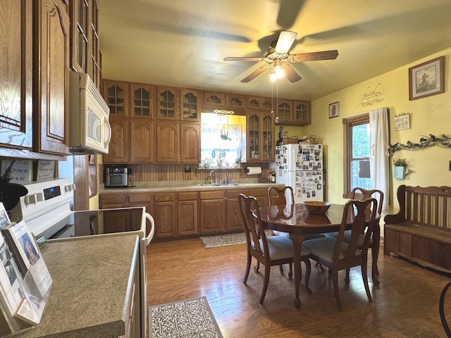 kitchen featuring decorative backsplash, hardwood / wood-style floors, white appliances, and a healthy amount of sunlight