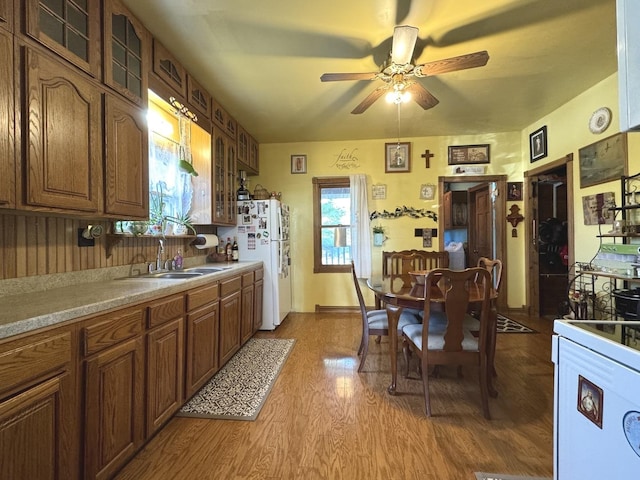 kitchen featuring hardwood / wood-style floors, white fridge, ceiling fan, and sink