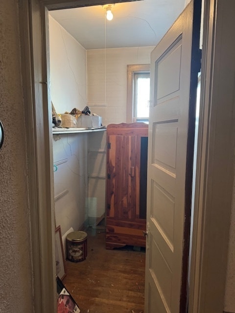 bathroom featuring hardwood / wood-style floors