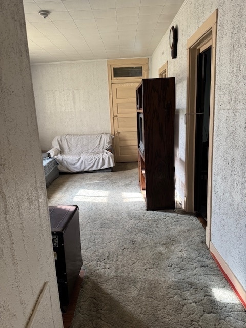 hallway with carpet floors