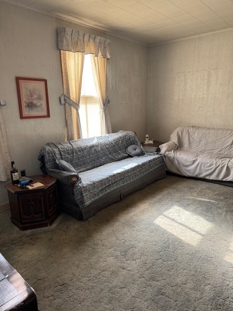 interior space featuring carpet and ornamental molding