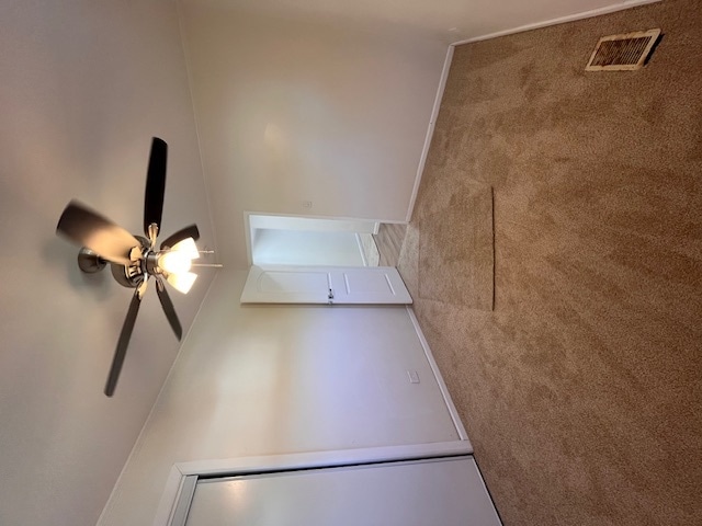 interior space with ceiling fan and carpet