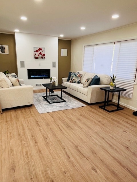 living room featuring light wood-type flooring