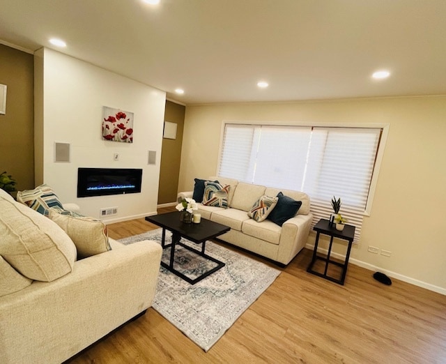 living room with wood-type flooring