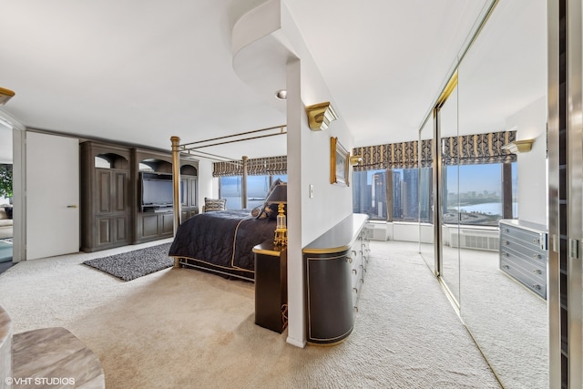 carpeted bedroom featuring a water view