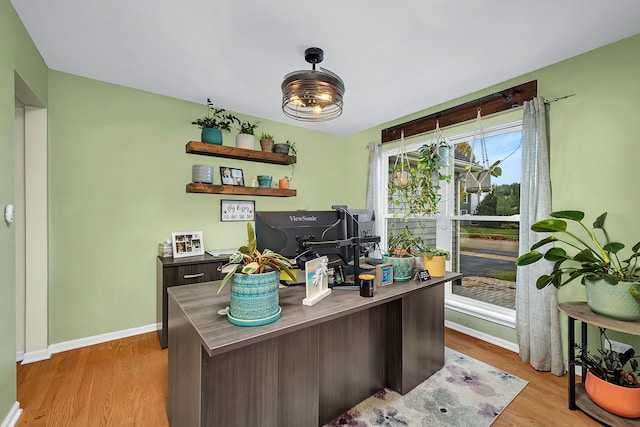 office featuring light hardwood / wood-style floors