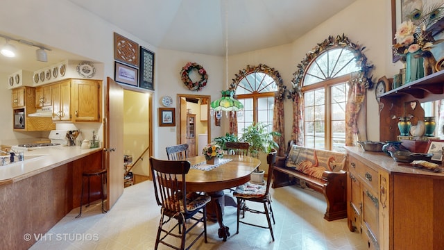 dining area with lofted ceiling