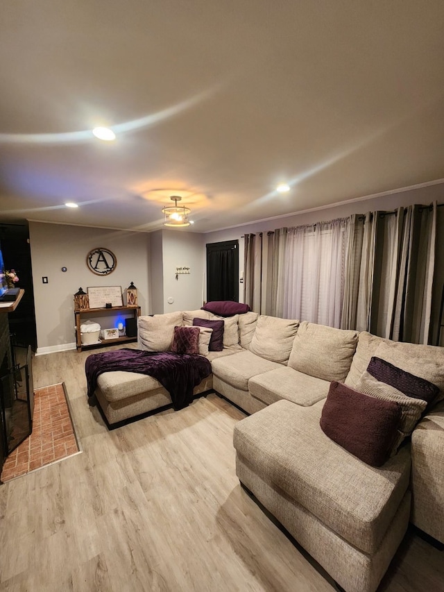 living room featuring light hardwood / wood-style flooring