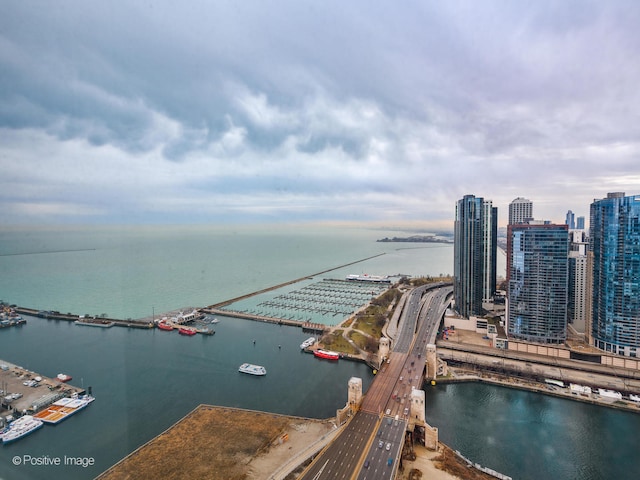 bird's eye view with a water view