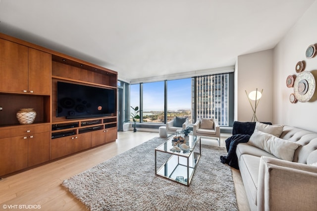 living room with light wood-type flooring and expansive windows