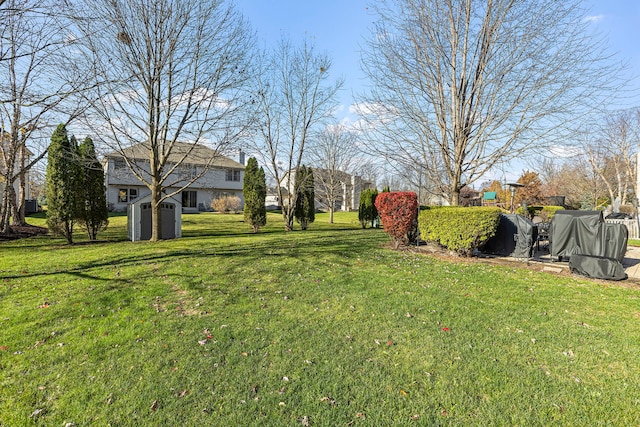 view of yard with a shed