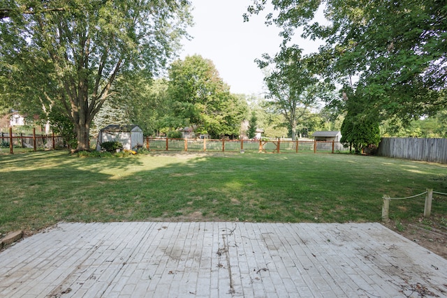 view of yard featuring a patio area and a storage shed