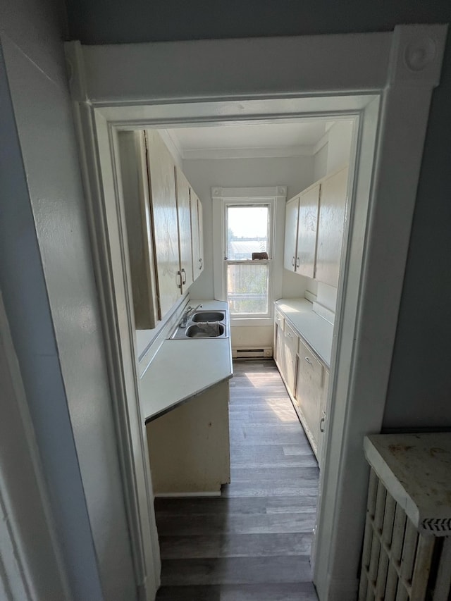 laundry area featuring hardwood / wood-style floors, ornamental molding, sink, and radiator